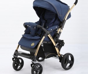 Чем модульная коляска отличается от прогулочной?